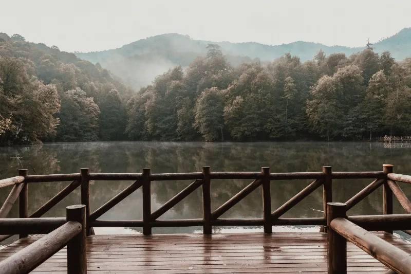 Sapanca Göl Manzaralı Bungalov